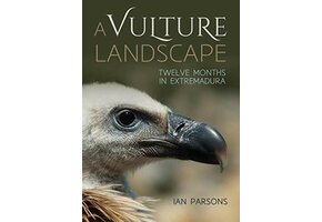 A Vulture Landscape
