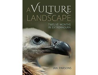 A Vulture Landscape