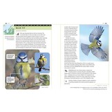 An Identification Guide to Garden Birds of Britain