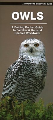 Owls - A Folding Pocket Guide to Familiar & Unusual Species Worldwide