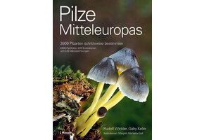 Pilze Mitteleuropas