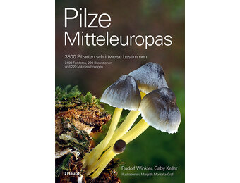 Pilze Mitteleuropas