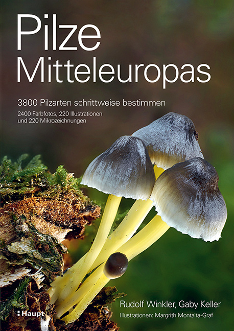 Pilze Mitteleuropas - 3800 Pilzarten schrittweise bestimmen
