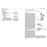 Pilze Mitteleuropas - 3800 Pilzarten schrittweise bestimmen