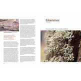 Canon van de Nederlandse Natuur