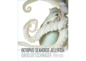 Octopus, Seahorse, Jellyfish