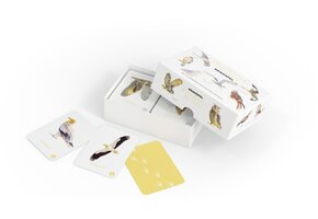 Birds of Prey and Owls memo game