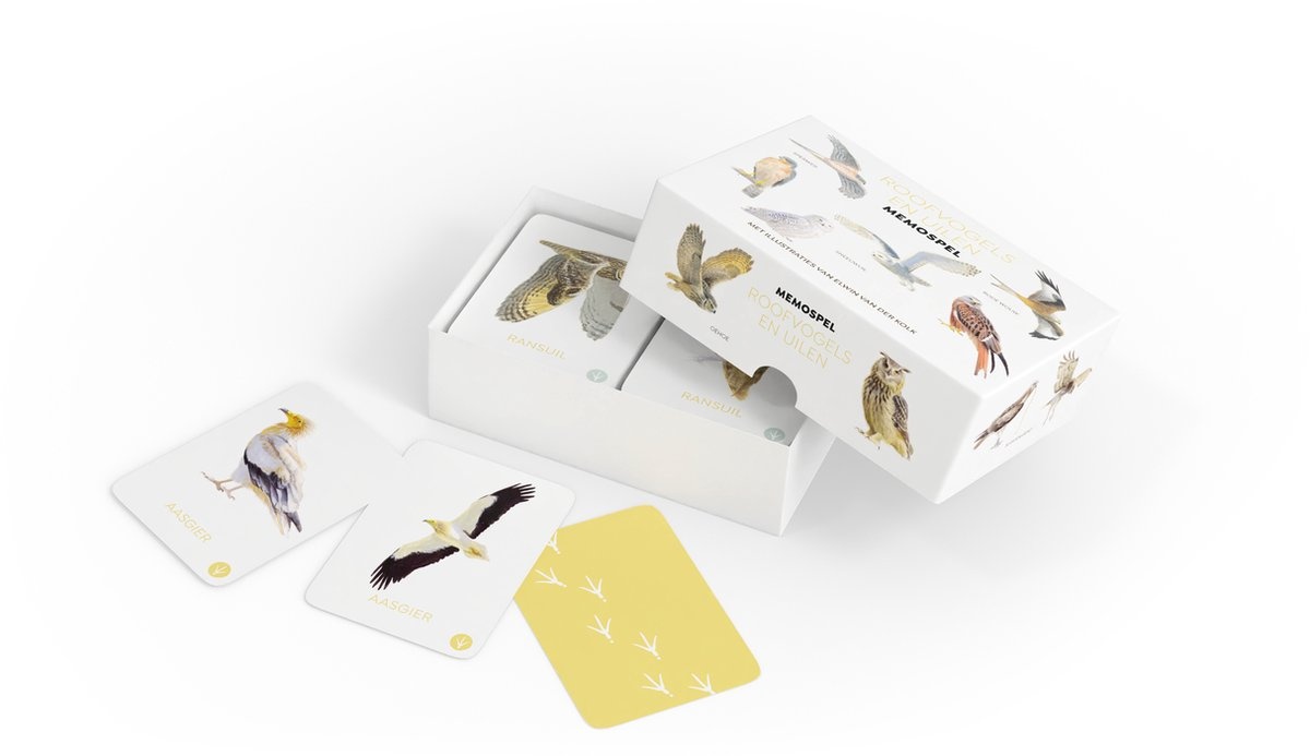 Birds of Prey and Owls memo game