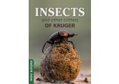 Insects and other critters of Kruger