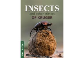 Insects and other critters of Kruger