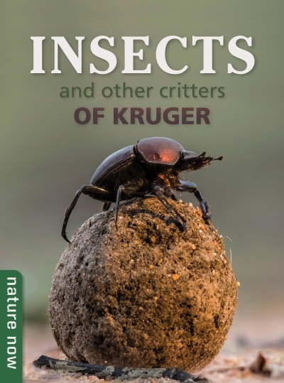 Insects of Kruger