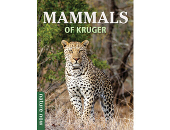 Mammals of Kruger