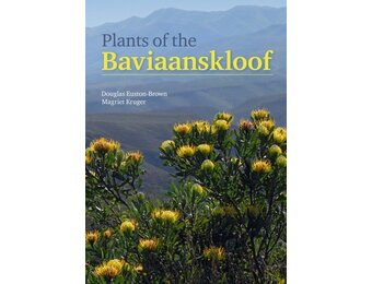 Plants of the Baviaanskloof