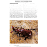 Beetles of the World: A Natural History