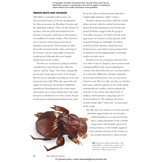 Beetles of the World: A Natural History