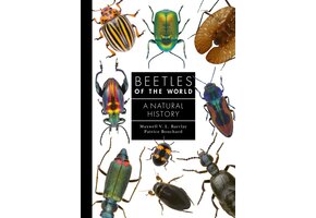 Beetles of the World