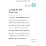 The Complete Insect: Anatomy, Physiology, Evolution, and Ecology