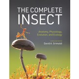 The Complete Insect: Anatomy, Physiology, Evolution, and Ecology