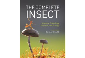 The Complete Insect