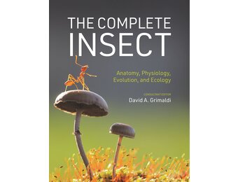 The Complete Insect