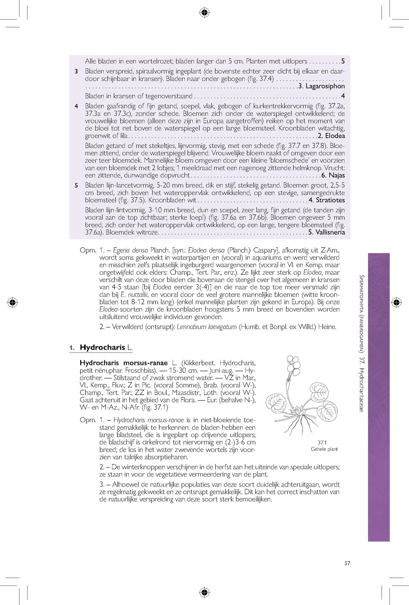 Flora van België, het Groothertogdom Luxemburg, Noord-Frankrijk en de aangrenzende gebieden ( Pteridofyten en Spermatofyten )