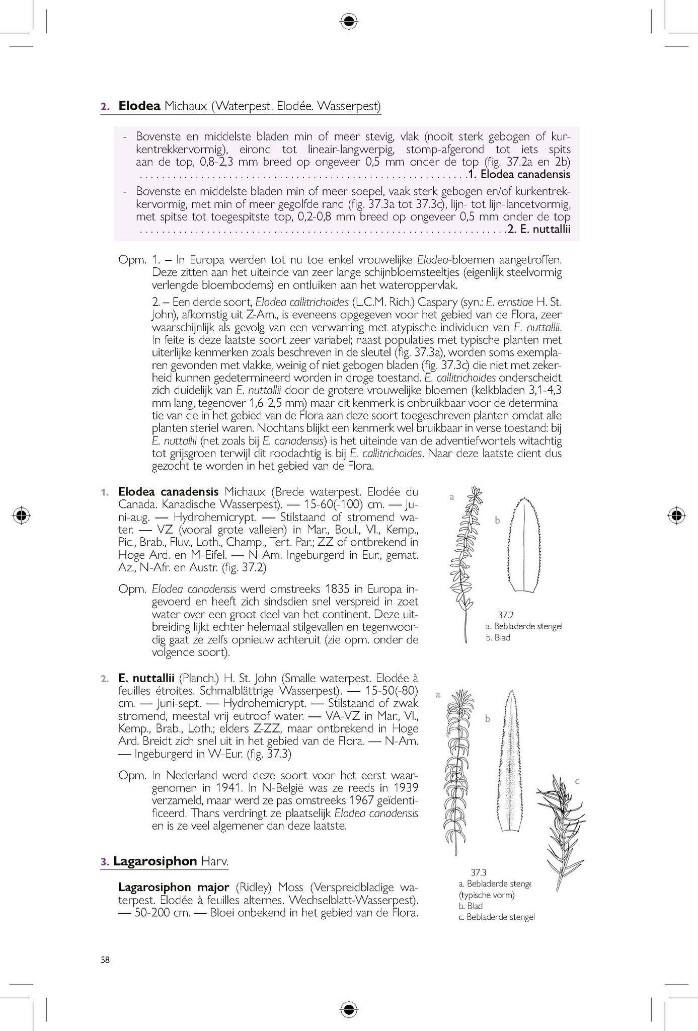 Flora van België, het Groothertogdom Luxemburg, Noord-Frankrijk en de aangrenzende gebieden ( Pteridofyten en Spermatofyten )