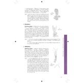 Flora van België, het Groothertogdom Luxemburg, Noord-Frankrijk en de aangrenzende gebieden ( Pteridofyten en Spermatofyten )