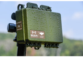 Song Meter Mini Bat 2 AA