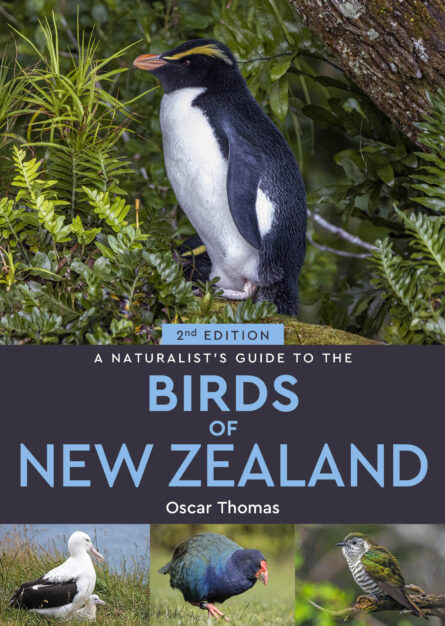 A Naturalist's Guide to the Birds of New Zealand (2nd edition)