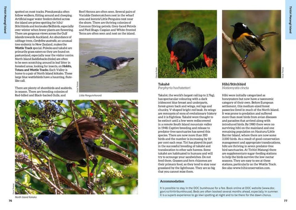 The 50 Best Birdwatching Sites in New Zealand (2nd edition)