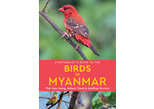 A Naturalist’s Guide to the Birds of Myanmar