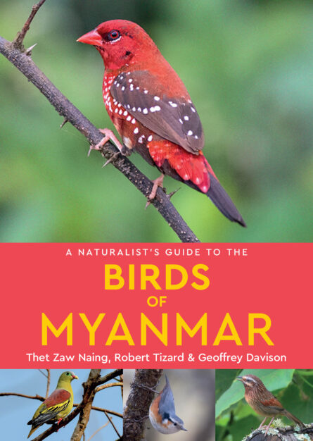 A Naturalist’s Guide to the Birds of Myanmar