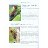 A Naturalist's Guide to the Birds of Borneo - Sabah, Sarawak, Brunei and Kalimantan - 4th edition