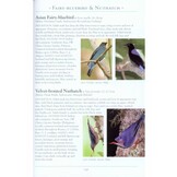 A Naturalist's Guide to the Birds of Borneo - Sabah, Sarawak, Brunei and Kalimantan - 4th edition