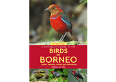 A Naturalist’s Guide to the Birds of Borneo
