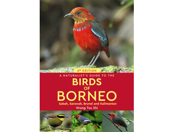 A Naturalist’s Guide to the Birds of Borneo