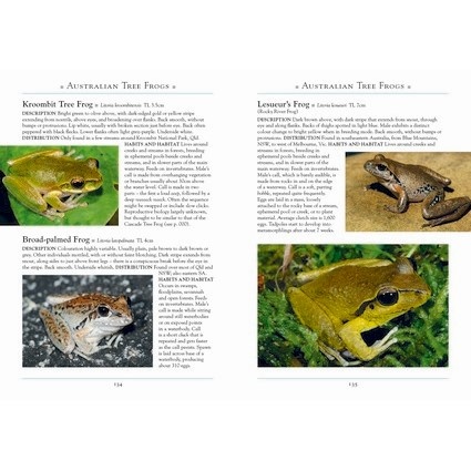 A Naturalist's Guide to the Frogs of Australia - 2nd edition