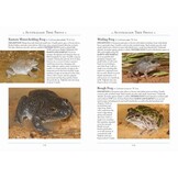 A Naturalist's Guide to the Frogs of Australia - 2nd edition