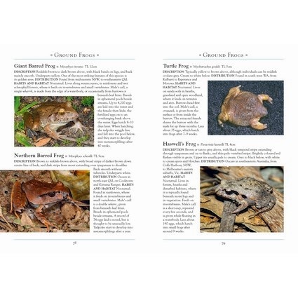 A Naturalist's Guide to the Frogs of Australia - 2nd edition