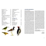 A Field Guide to the Birds of Singapore