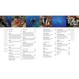 The World's Best Tropical Dive Destinations