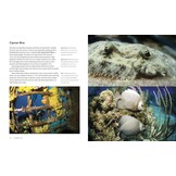 The World's Best Tropical Dive Destinations