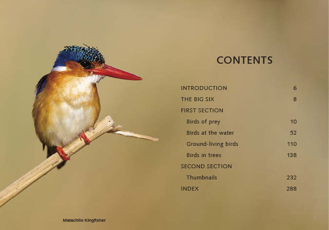 Kruger Birds - second edition