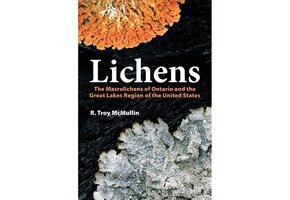 Lichens - The Macrolichens of Ontario and the Great Lakes Region of the United States