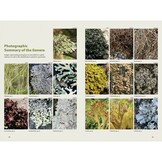 Lichens - The Macrolichens of Ontario and the Great Lakes Region of the United States