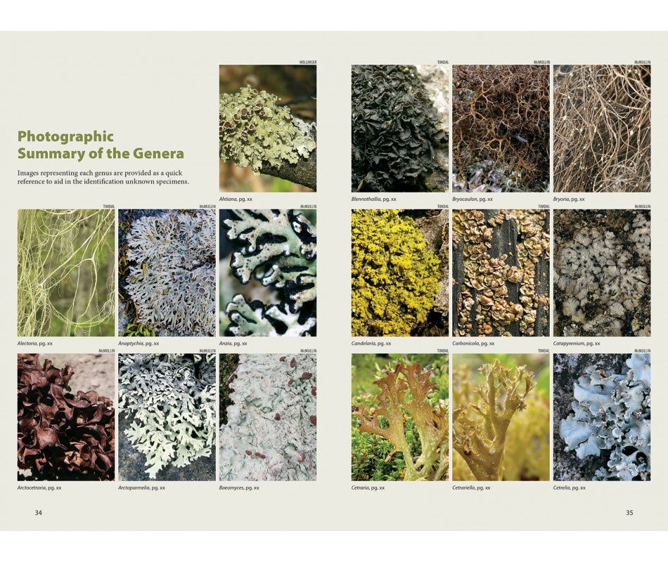Lichens - The Macrolichens of Ontario and the Great Lakes Region of the United States