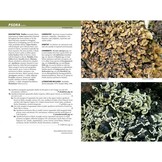 Lichens - The Macrolichens of Ontario and the Great Lakes Region of the United States
