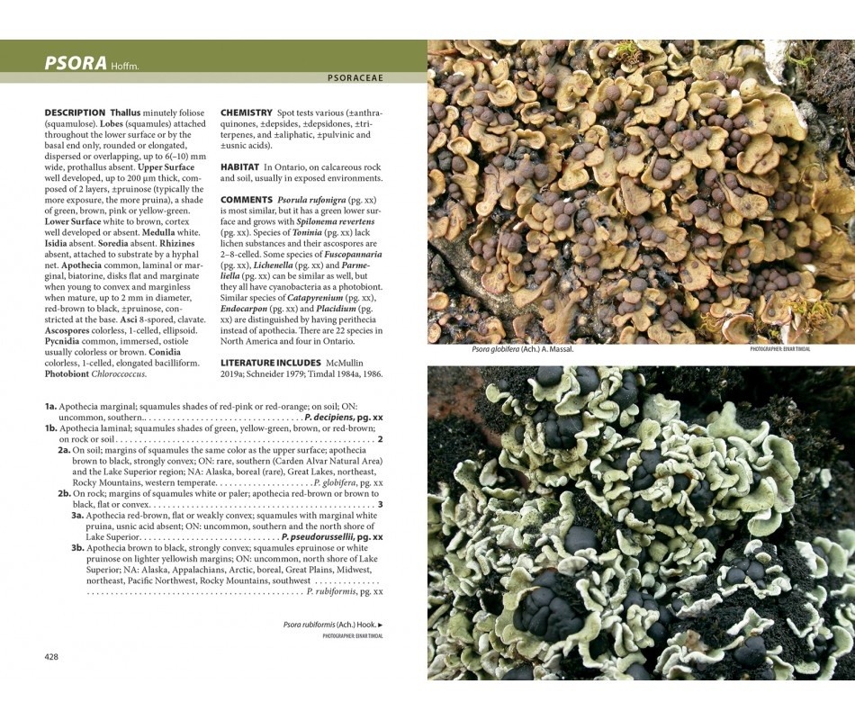 Lichens - The Macrolichens of Ontario and the Great Lakes Region of the United States