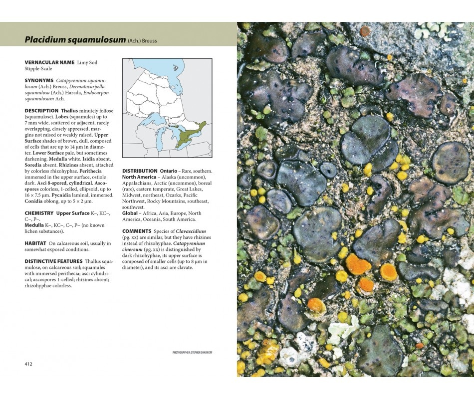 Lichens - The Macrolichens of Ontario and the Great Lakes Region of the United States