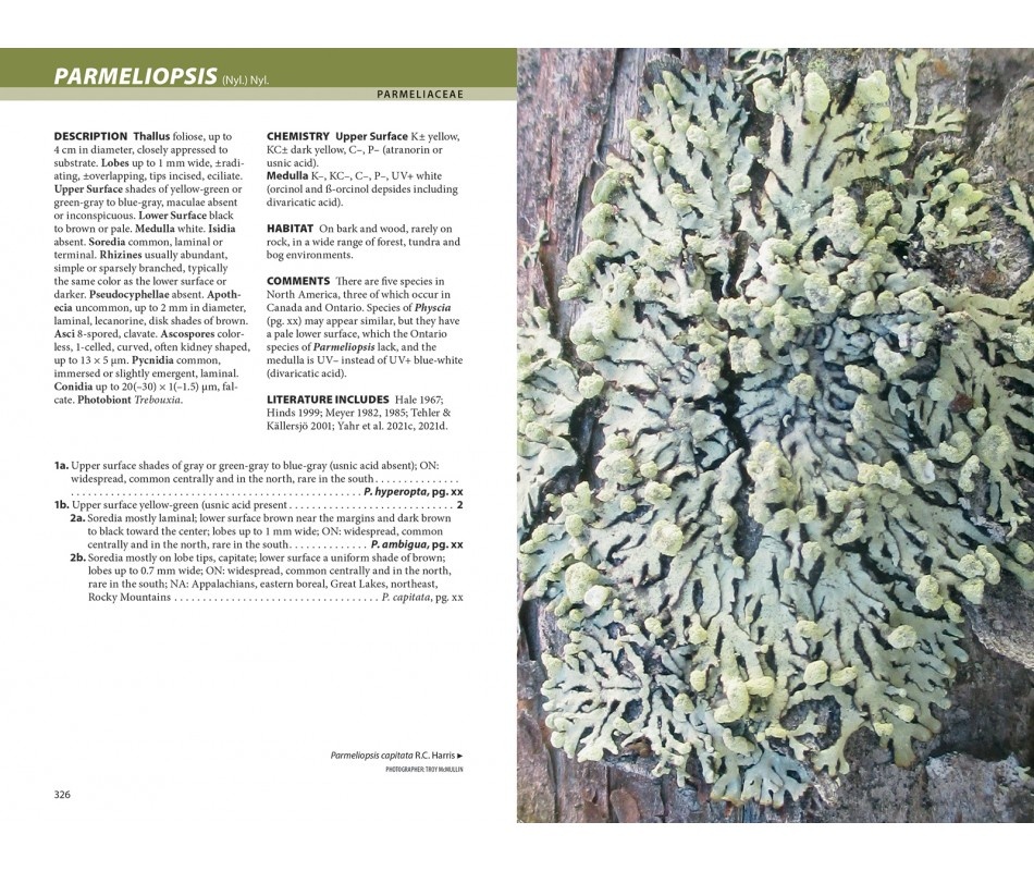 Lichens - The Macrolichens of Ontario and the Great Lakes Region of the United States